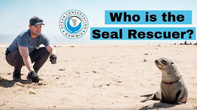 Who Is The Seal Rescuer